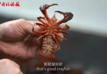 江苏省盱眙小龙虾