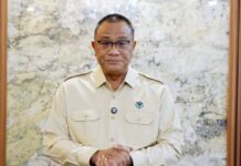 环境部长派快速反应小组 监测喀拉喀托之子火山喷发影响