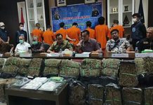 苏北BNN缴获 141 公斤大麻和 1.9 公斤冰毒10 名嫌疑人被扣押